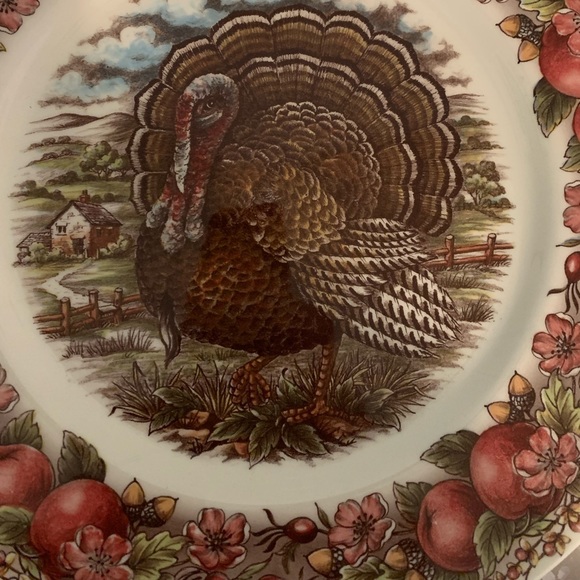 New Royal Stafford Turkey Plate Thanksgiving/Christmas/Holiday Collectibles🍁🦃 - Picture 3 of 4